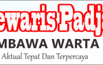 cropped-Untitled-1_opt-1-1.png