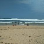 IMG-20210516-WA0012